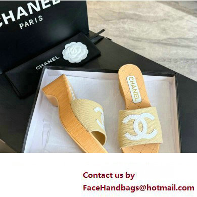 Chanel Fabric  &  Patent Calfskin Mules G45555 Beige 2024